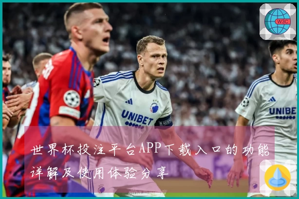 世界杯投注平台APP下载入口的功能详解及使用体验分享