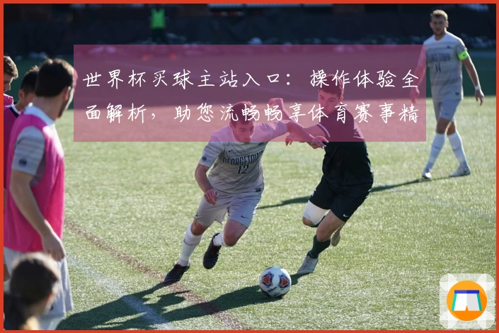 世界杯买球主站入口：操作体验全面解析，助您流畅畅享体育赛事精彩