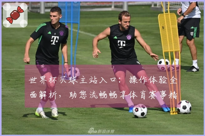 世界杯买球主站入口：操作体验全面解析，助您流畅畅享体育赛事精彩