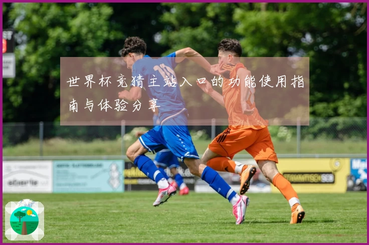 世界杯竞猜主站入口的功能使用指南与体验分享